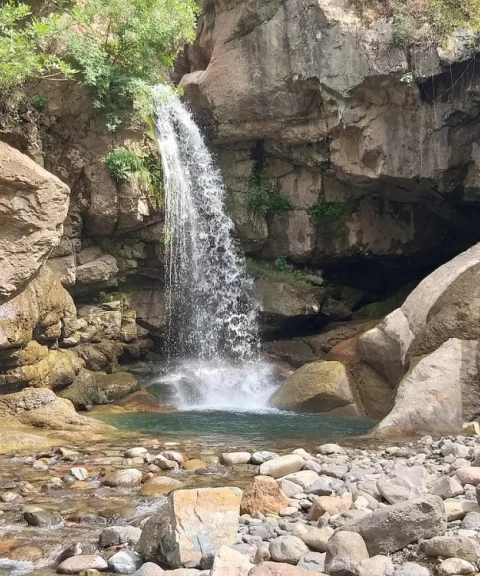 _