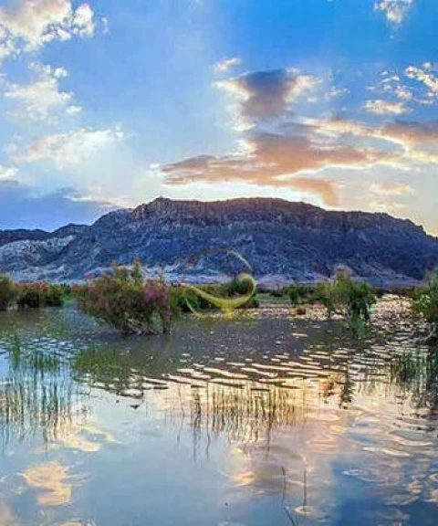 _