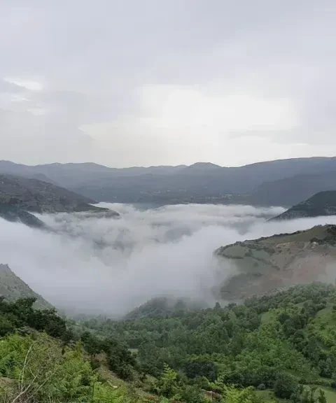_