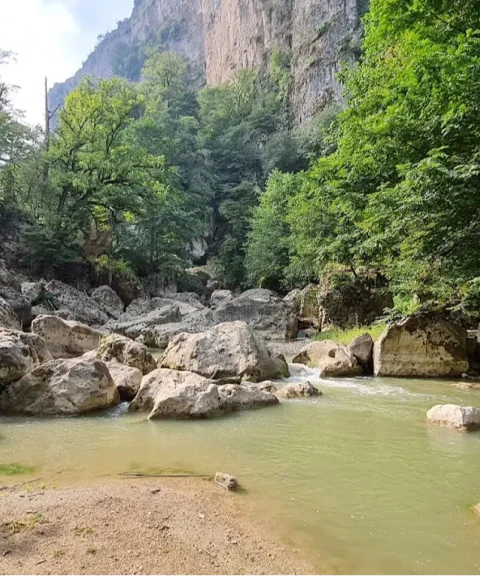 _