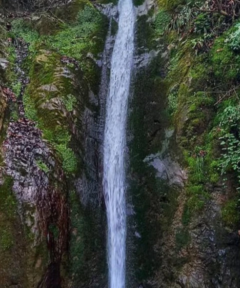 _
