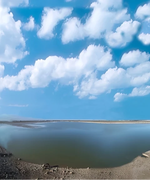 _