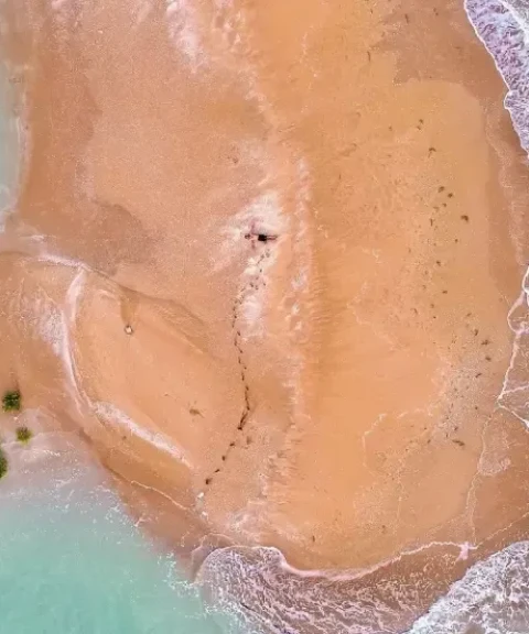 _