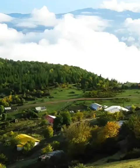 _