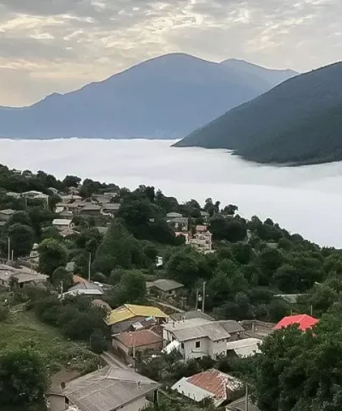 _