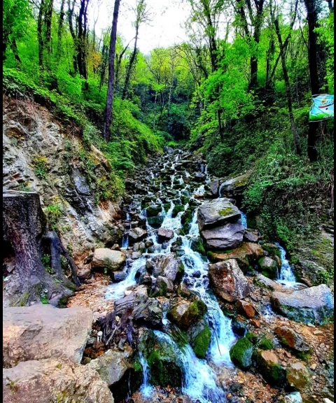 _