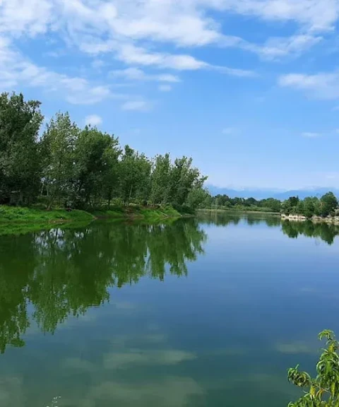 _