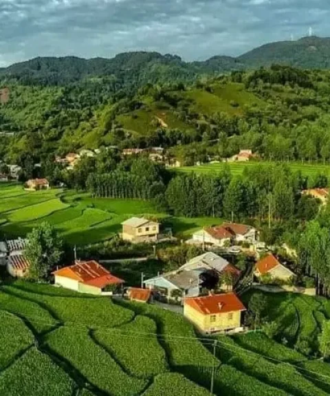_