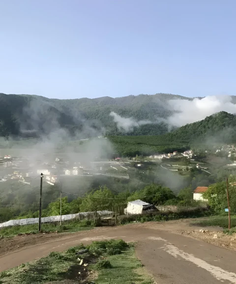 _