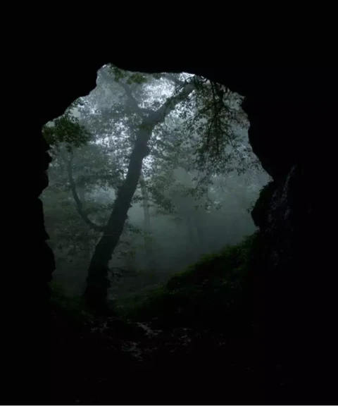 _