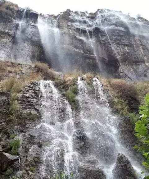 _