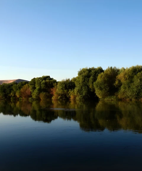 _
