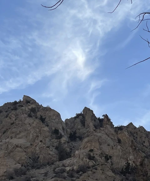 _