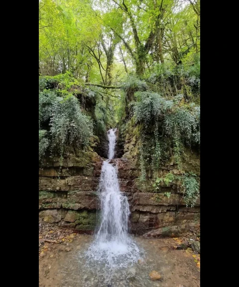 _