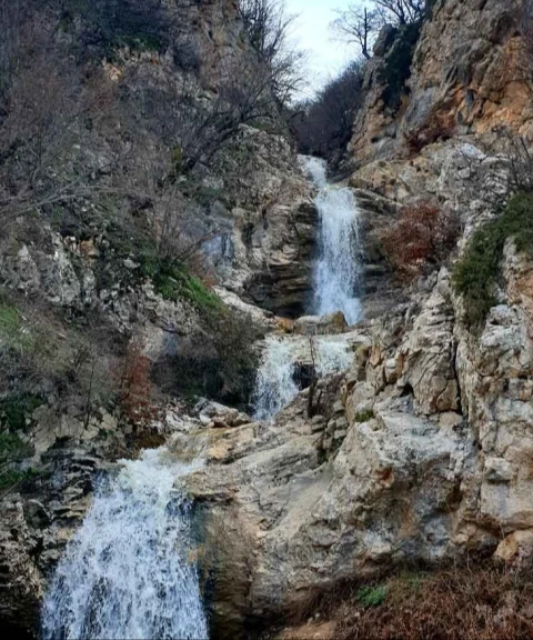_