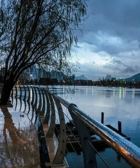 _