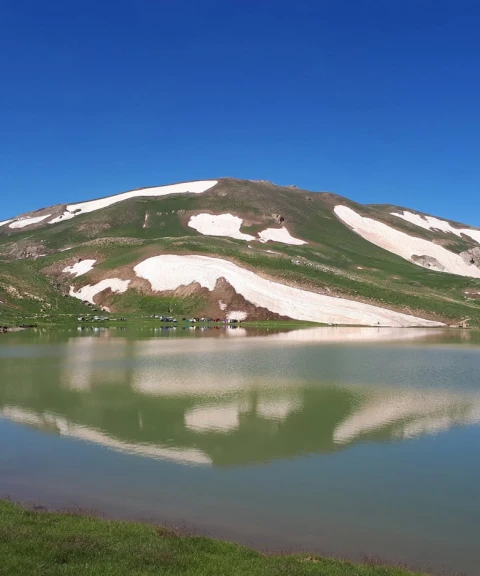 _