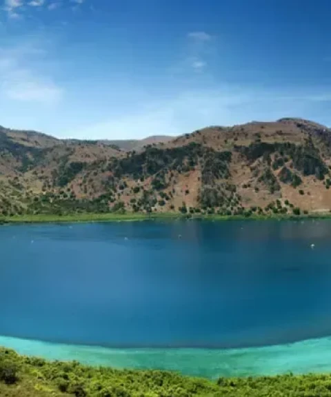 _