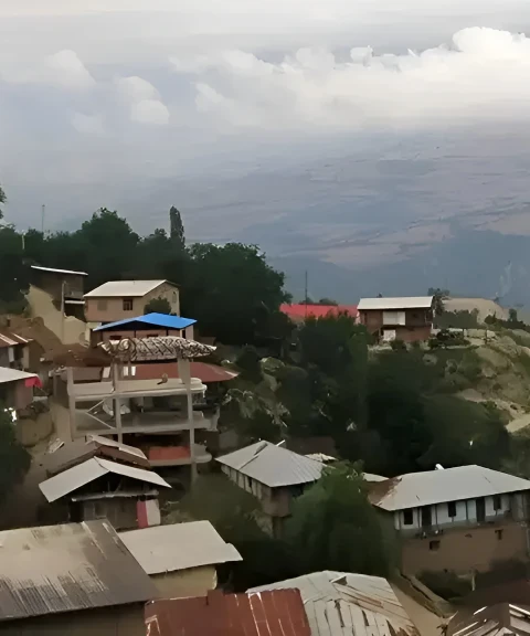 _