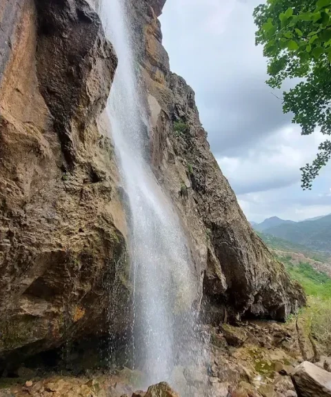 _