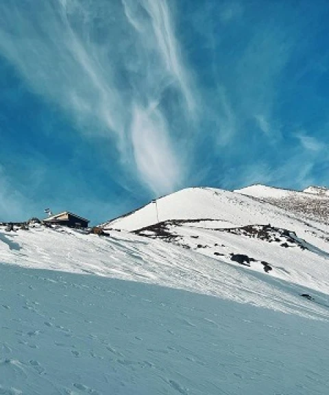 _