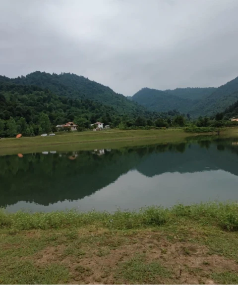 _
