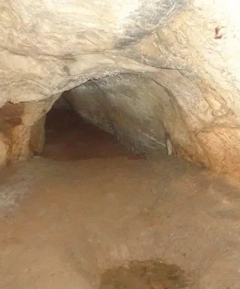 _