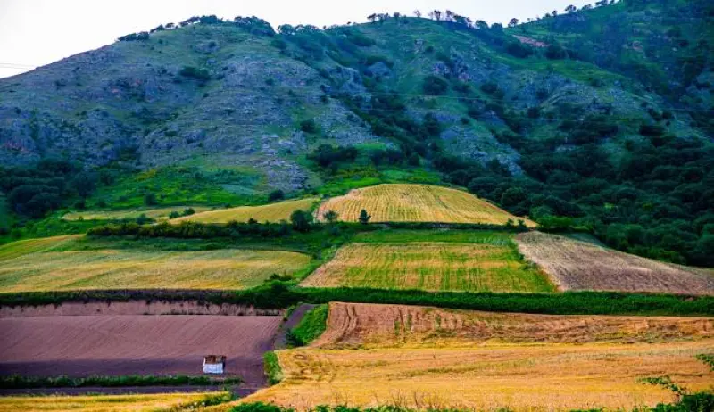 پارک ملی گلستان - تصویر 6