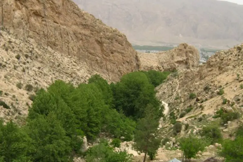 تنگ لای تاریک - تصویر 1