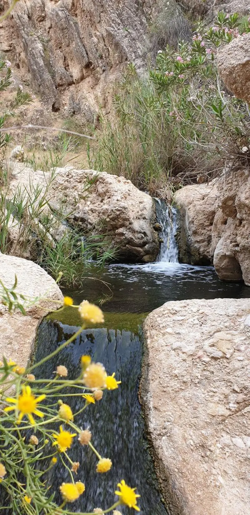 چشمه آبگرم ماخو - تصویر 9