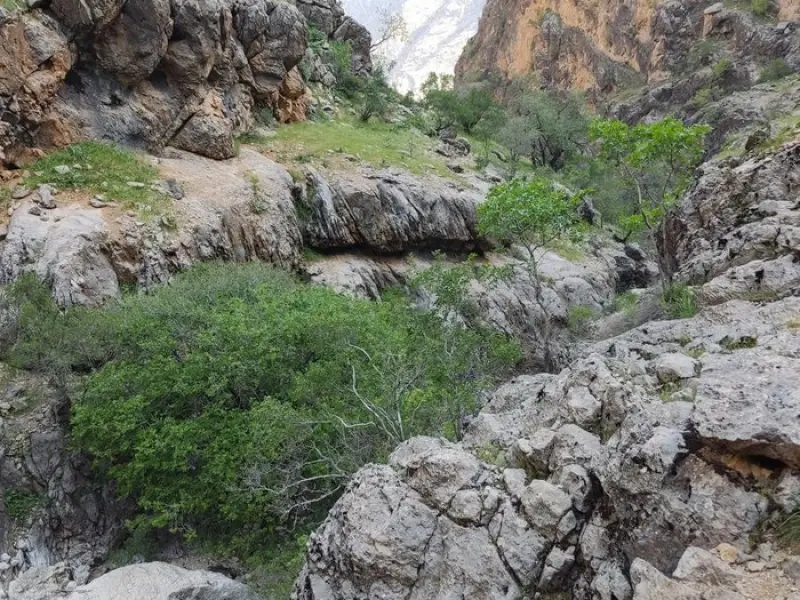 دره کاهکده - تصویر 5