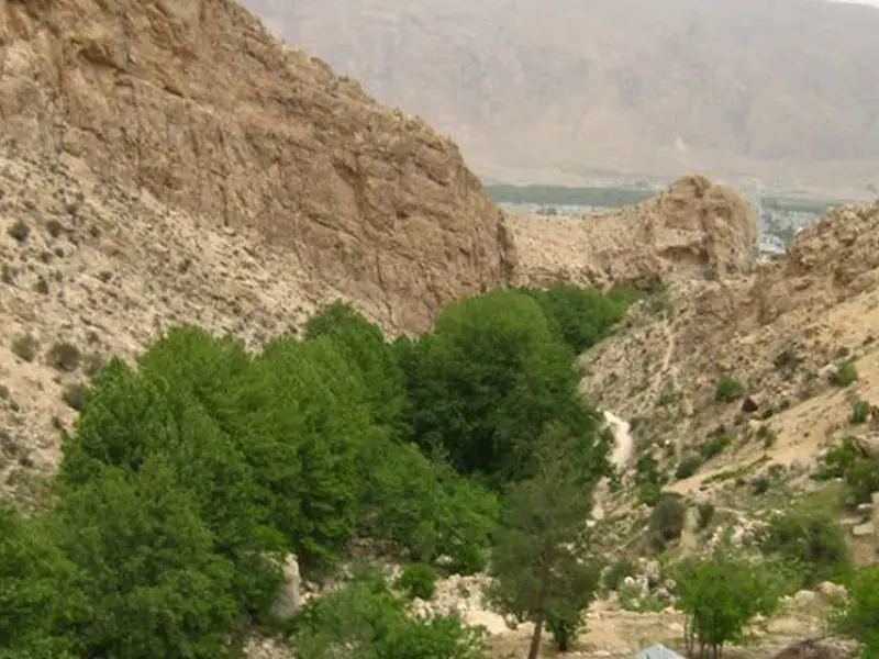تنگ لای تاریک - تصویر 1