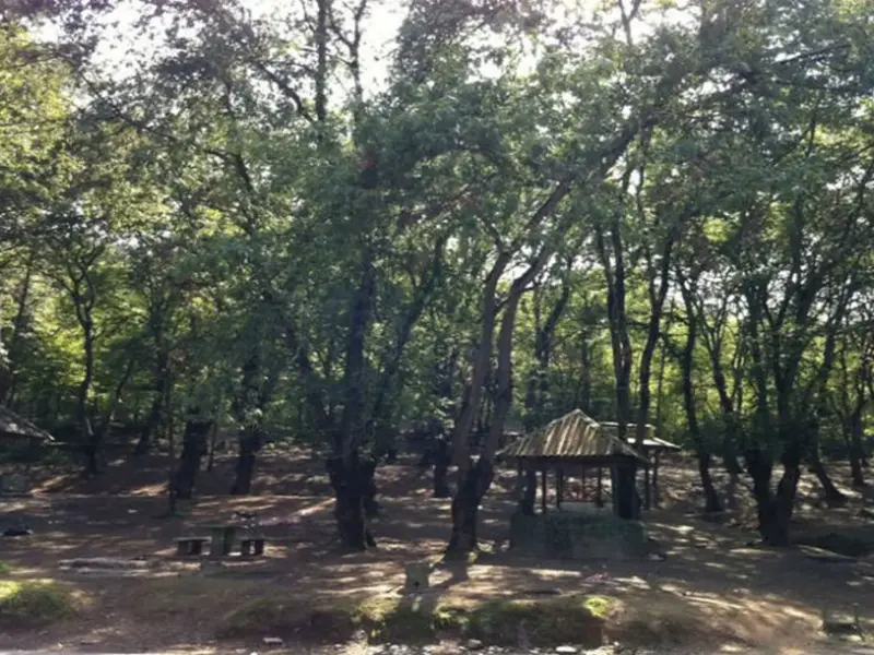 پارک جنگلی شهید زارع - تصویر 5