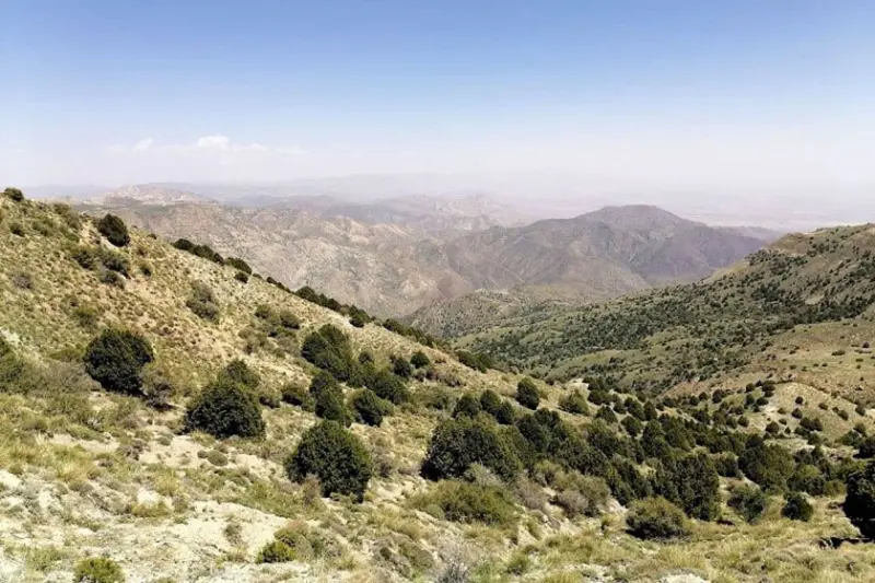 پارک ملی سالوک - تصویر 8