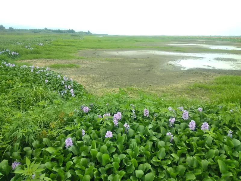 روستای آبکنار - تصویر 1