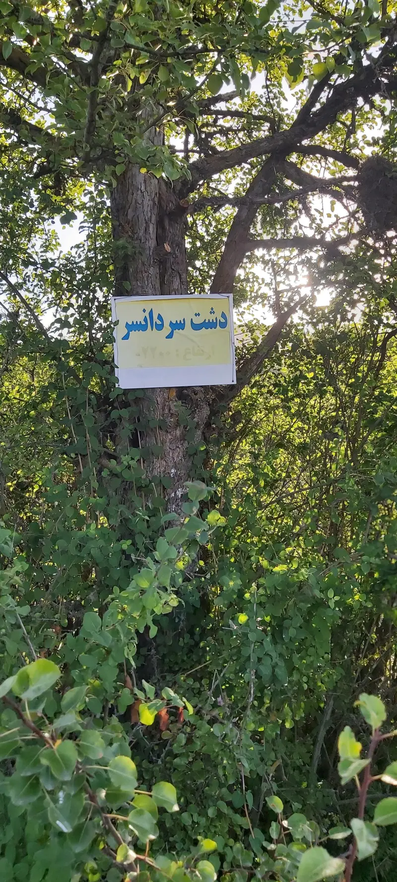 دشت سردانسر - تصویر 5