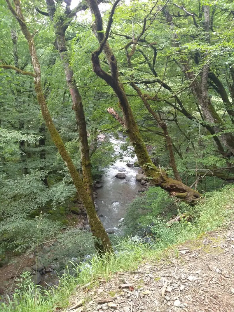 روستای لاکه تاشون - تصویر 5