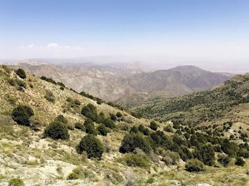 پارک ملی سالوک - تصویر 8