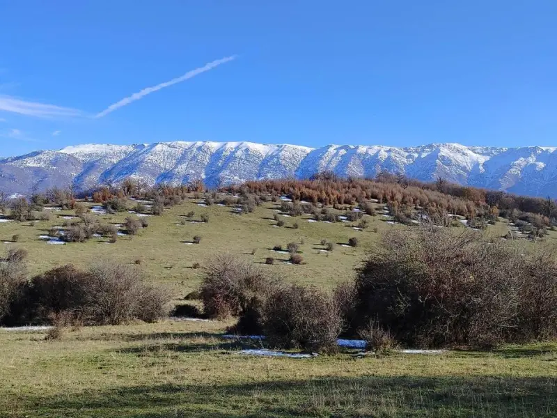دشت سردانسر
