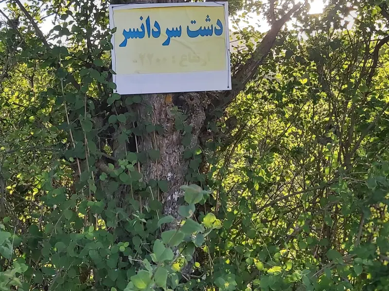 دشت سردانسر - تصویر 5