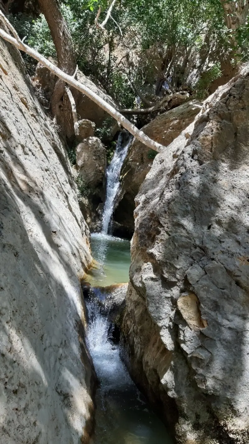 تنگ بغدیون - تصویر 4