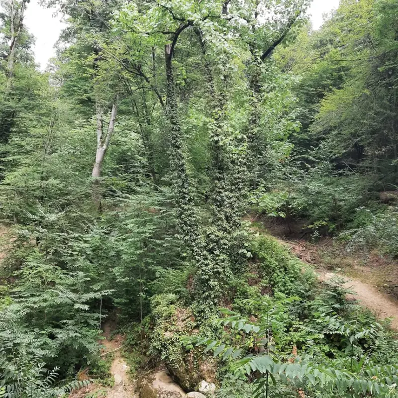 آبشار سراستر - تصویر 1