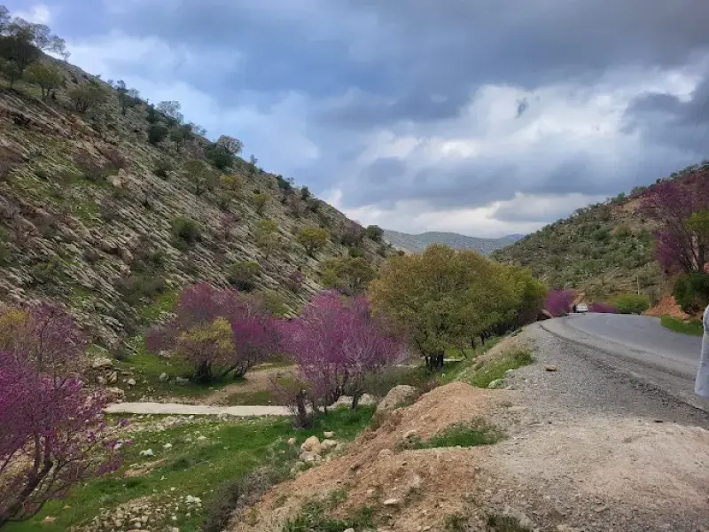تنگه ارغوان - تصویر 5