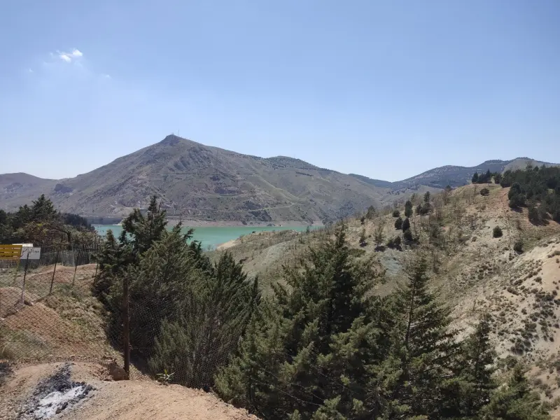 پارک جنگلی لتیان