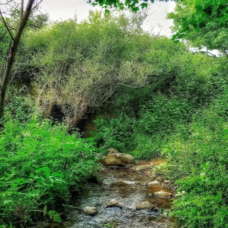 دره مکیدی - تصویر 3