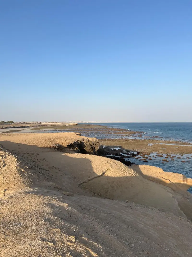 ساحل شغابی - تصویر 3