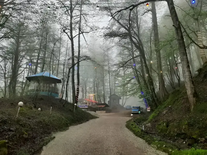 جنگل عباس آباد - تصویر 1