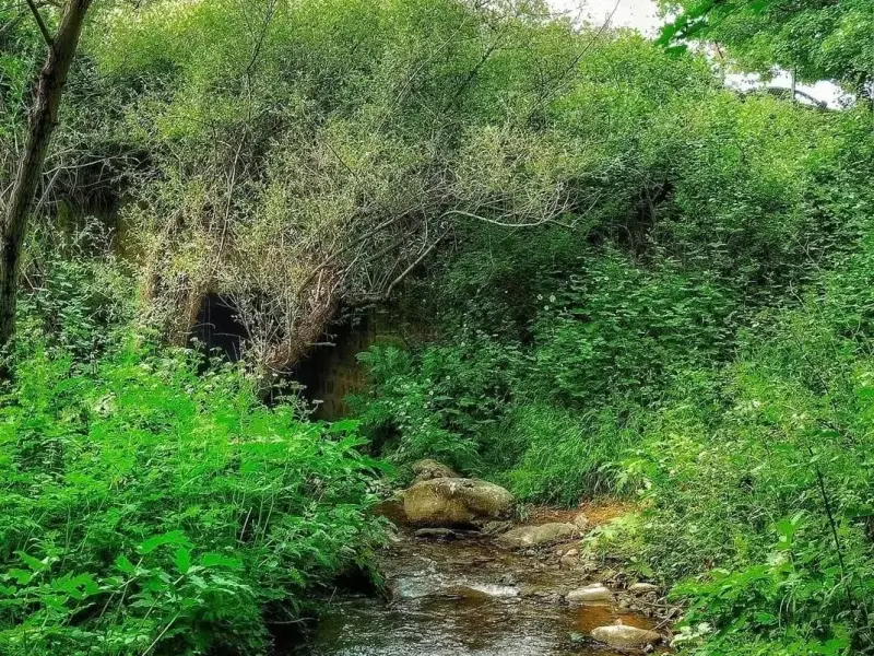 دره مکیدی - تصویر 3