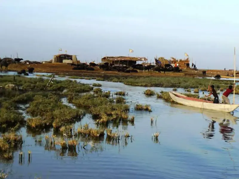 تالاب هورالعظیم - تصویر 5