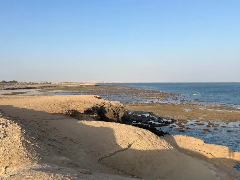 ساحل شغابی - تصویر 3